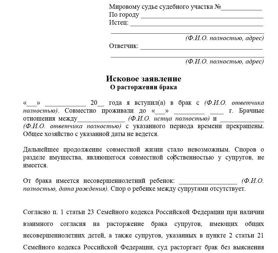 Подача заявления на развод без согласия супруга