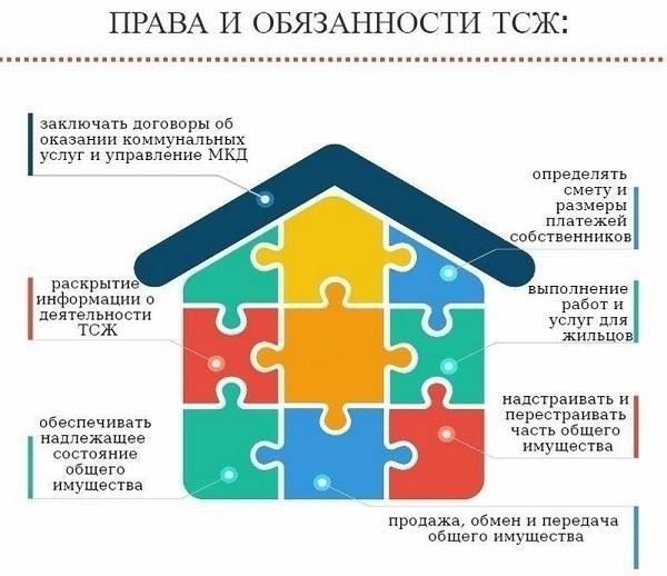 Что такое товарищество собственников жилья (ТСЖ) и как оно работает?