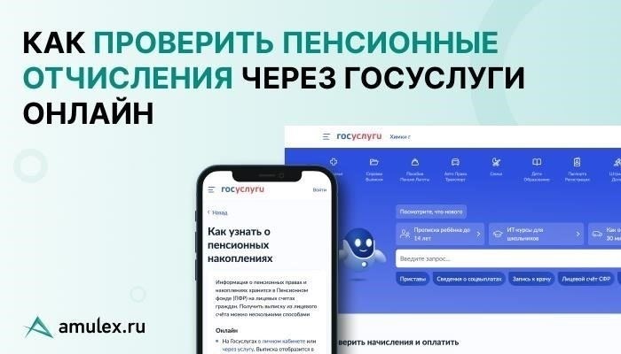 Доступ к пенсионной истории через сайт Госуслуг