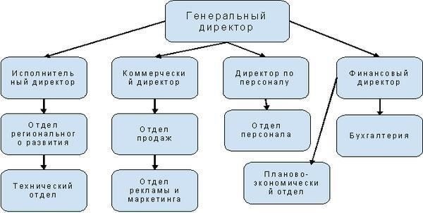 Пошаговый алгоритм расширения полномочий исполнительного директора