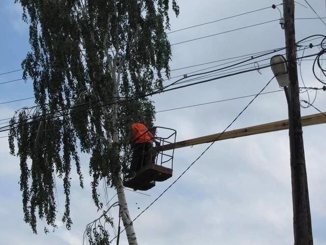 Роль деревьев и линий электропередач в сбоях электроснабжения