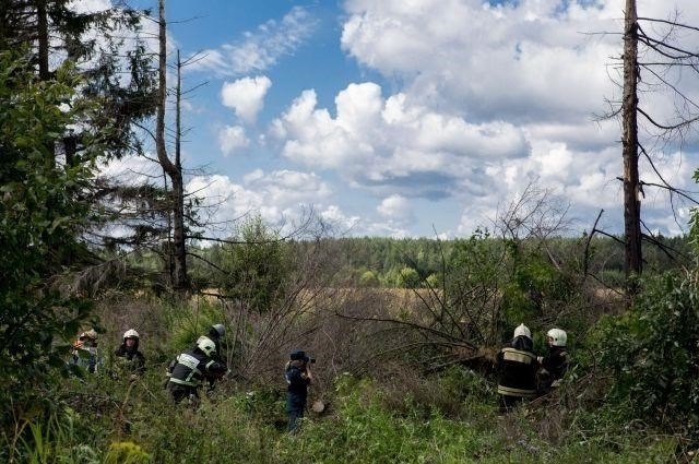 Влияние урагана на энергоснабжение в Тверской области