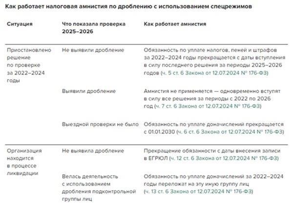 Возможна ли налоговая амнистия для предпринимателей, столкнувшихся с долгами?